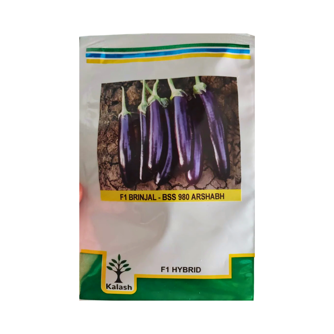 BSS 980 Arshabh Brinjal Seeds - Kalash | F1 Hybrid | Buy Online at Best Price