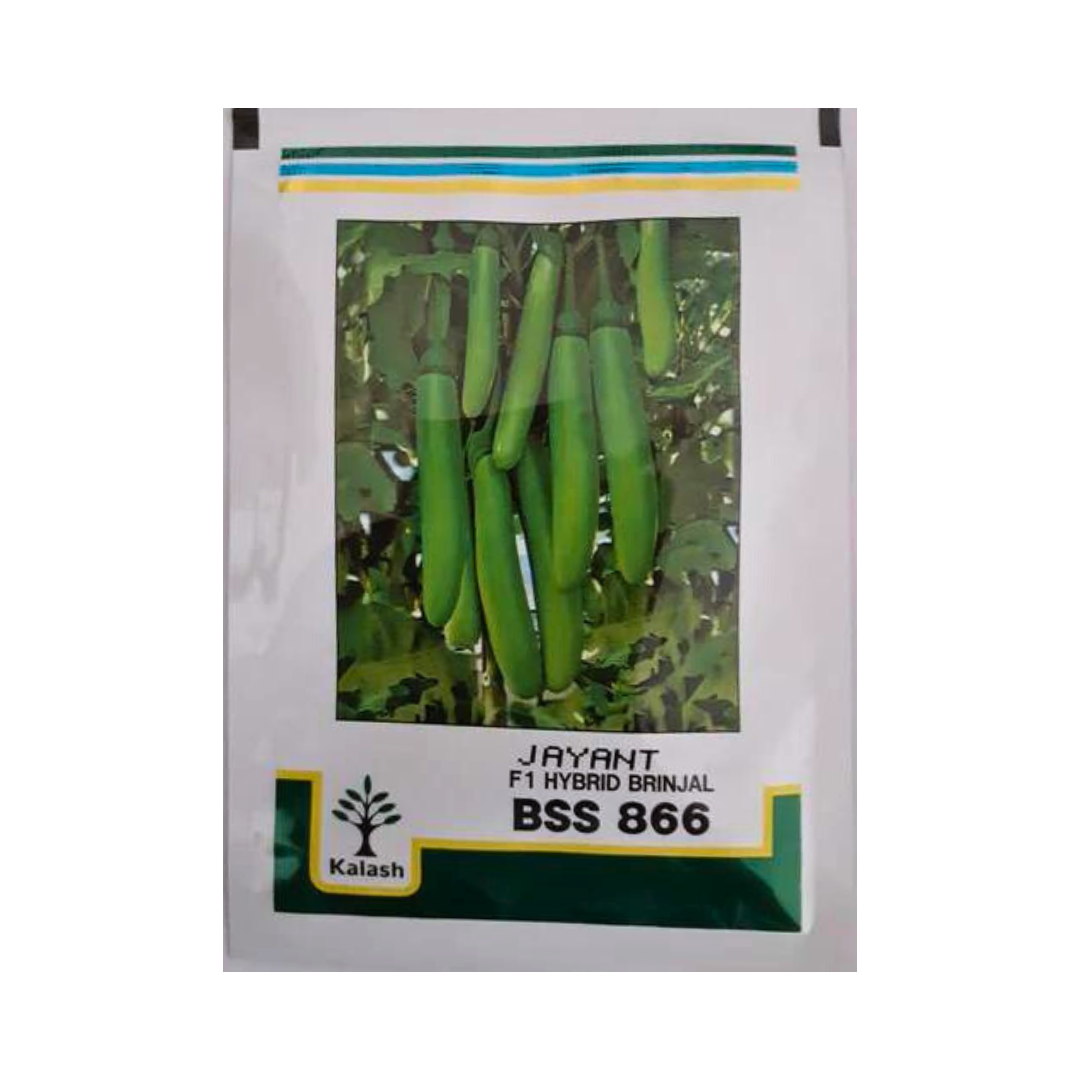 BSS-866 Jayant Brinjal Seeds - Kalash | F1 Hybrid | Buy Online At Best Price