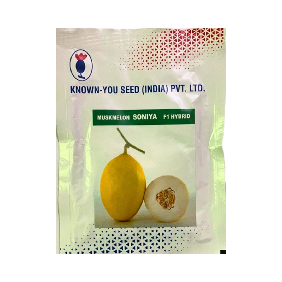 Soniya Muskmelon Seeds - Known You | F1 Hybrid | Buy Online at Best Price