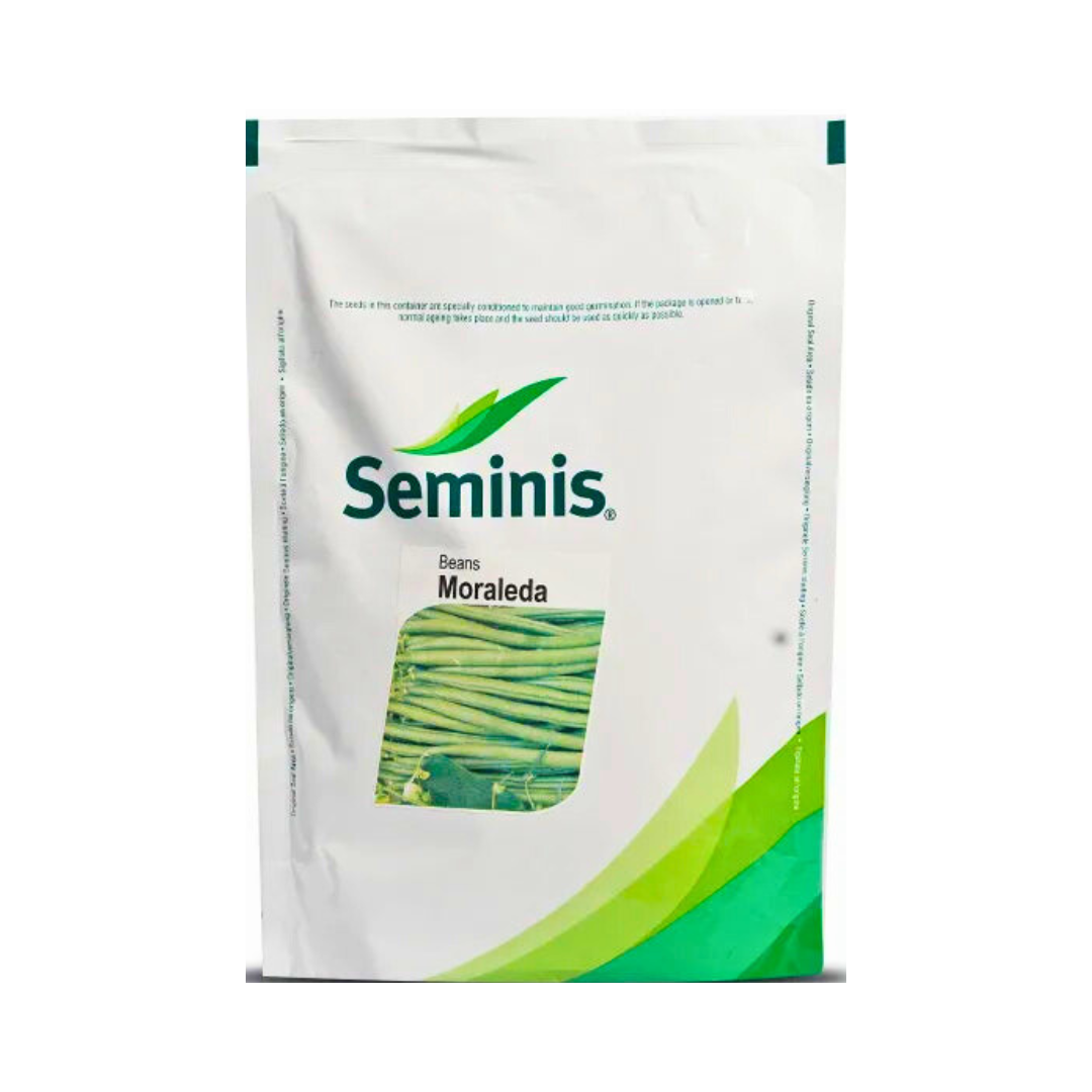 Moraleda Beans Seeds - Seminis | Buy Online at Best Price