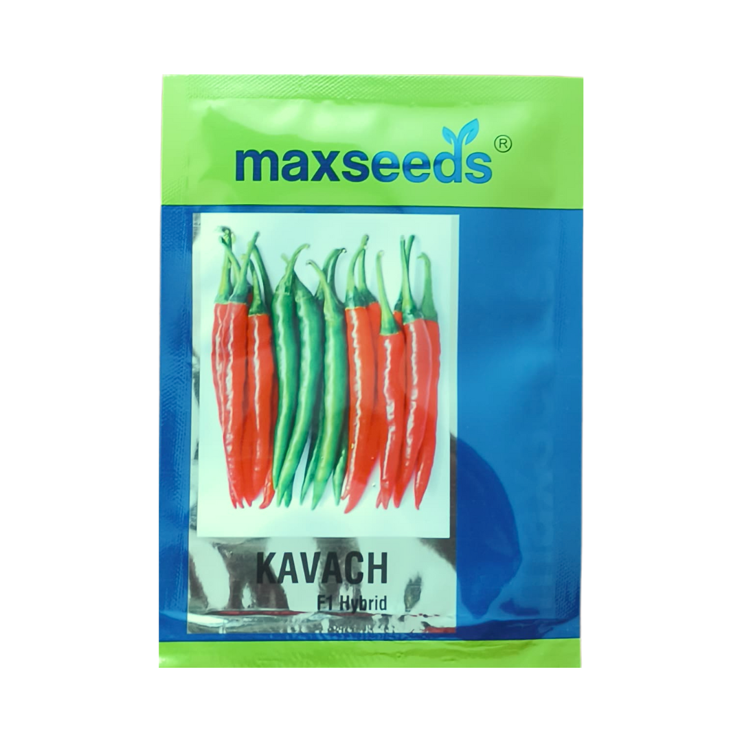 Kavach Chilli Seeds - Max | F1 Hybrid | Buy Online at Best Price