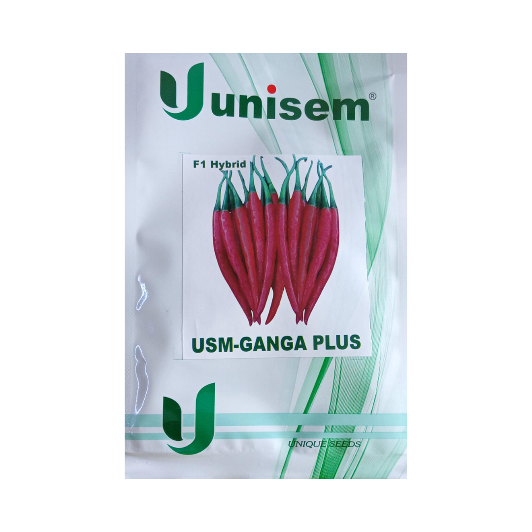 Ganga Plus Chilli Seeds - Unisem | F1 Hybrid | Buy Online - DesiKheti