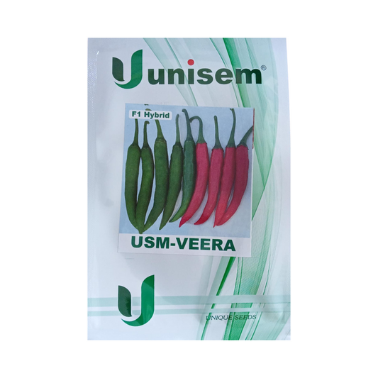 USM - Veera Chilli Seeds - Unisem | F1 Hybrid | Buy Online - DesiKheti