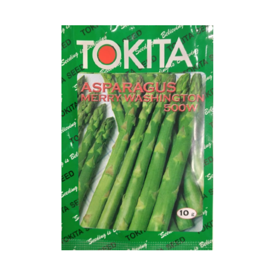 Merry Washington Asparagus Seeds - Tokita | F1 Hybrid | Buy Online