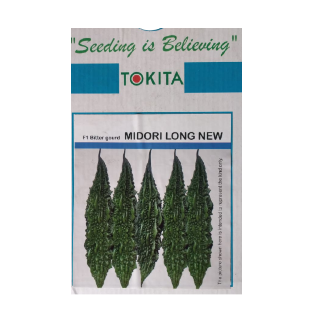 Midori Long New Bitter gourd Seeds - Tokita | F1 Hybrid | Buy Online at Best Price