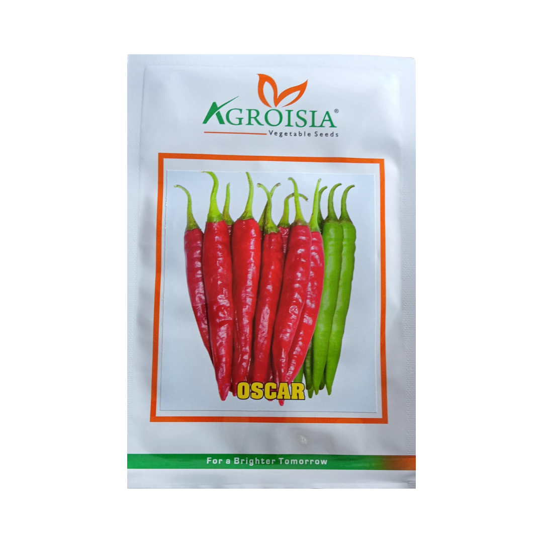 Oscar Chilli Seeds- Agroisia | F1 Hybrid | Buy Online at Best Price