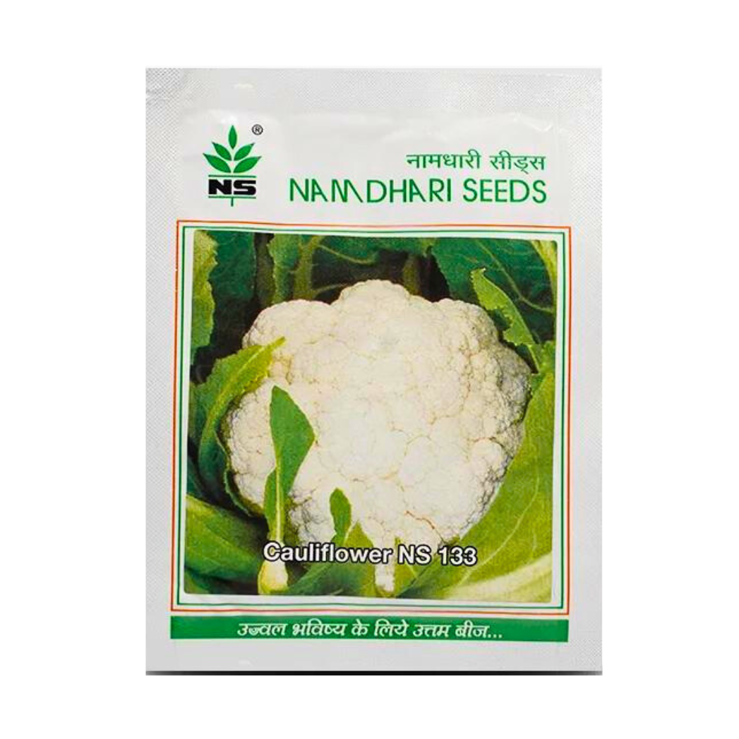 NS 133 Cauliflower Seeds - Namdhari | F1 Hybrid | Buy Online at Best Price