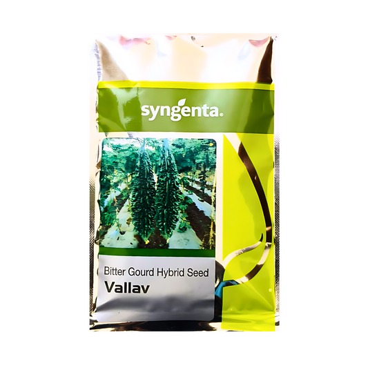 Vallav Bitter Gourd Seeds - Syngenta | F1 Hybrid | Buy Online Now