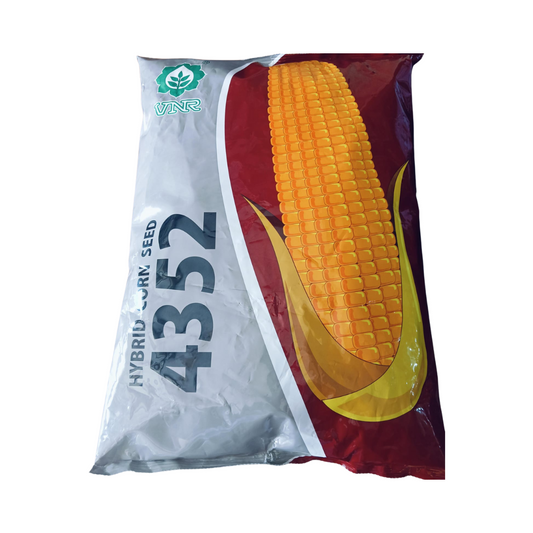 VNR 4352 Maize Seeds | F1 Hybrid | Buy Online at Best Price