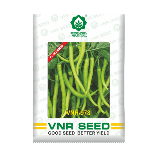 VNR - 978 Chilli Seeds | F1 Hybrid | Buy Online at Best Price