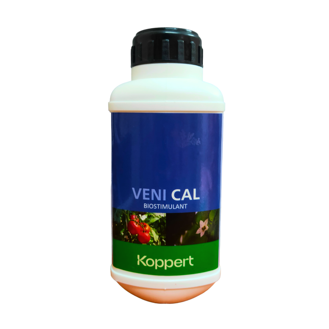 Veni Cal Biostimulant - Koppert | Buy Online at Best Price