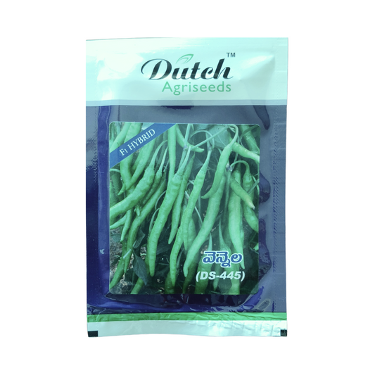 Vennela (DS-445) Chilli Seeds - Dutch Agriseeds | F1 Hybrid | Buy Now