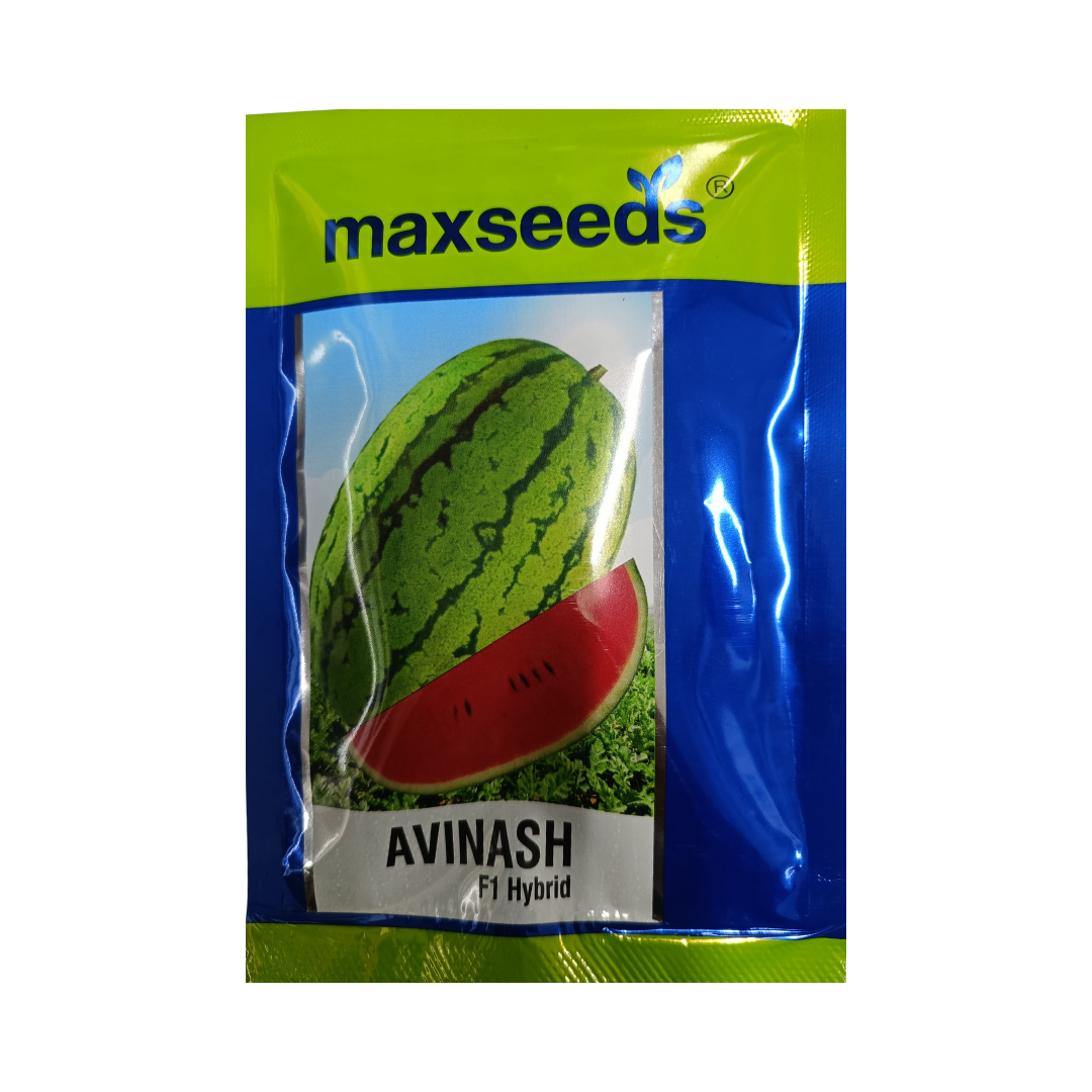 Avinash Watermelon Seeds - Max | F1 Hybrid | Buy Online at Best Price