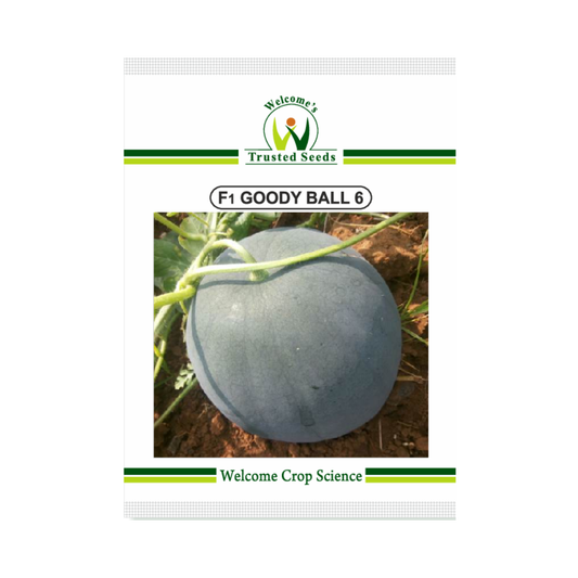 Goody Ball 6 Watermelon Seeds - Welcome | F1 Hybrid | Buy Online Now