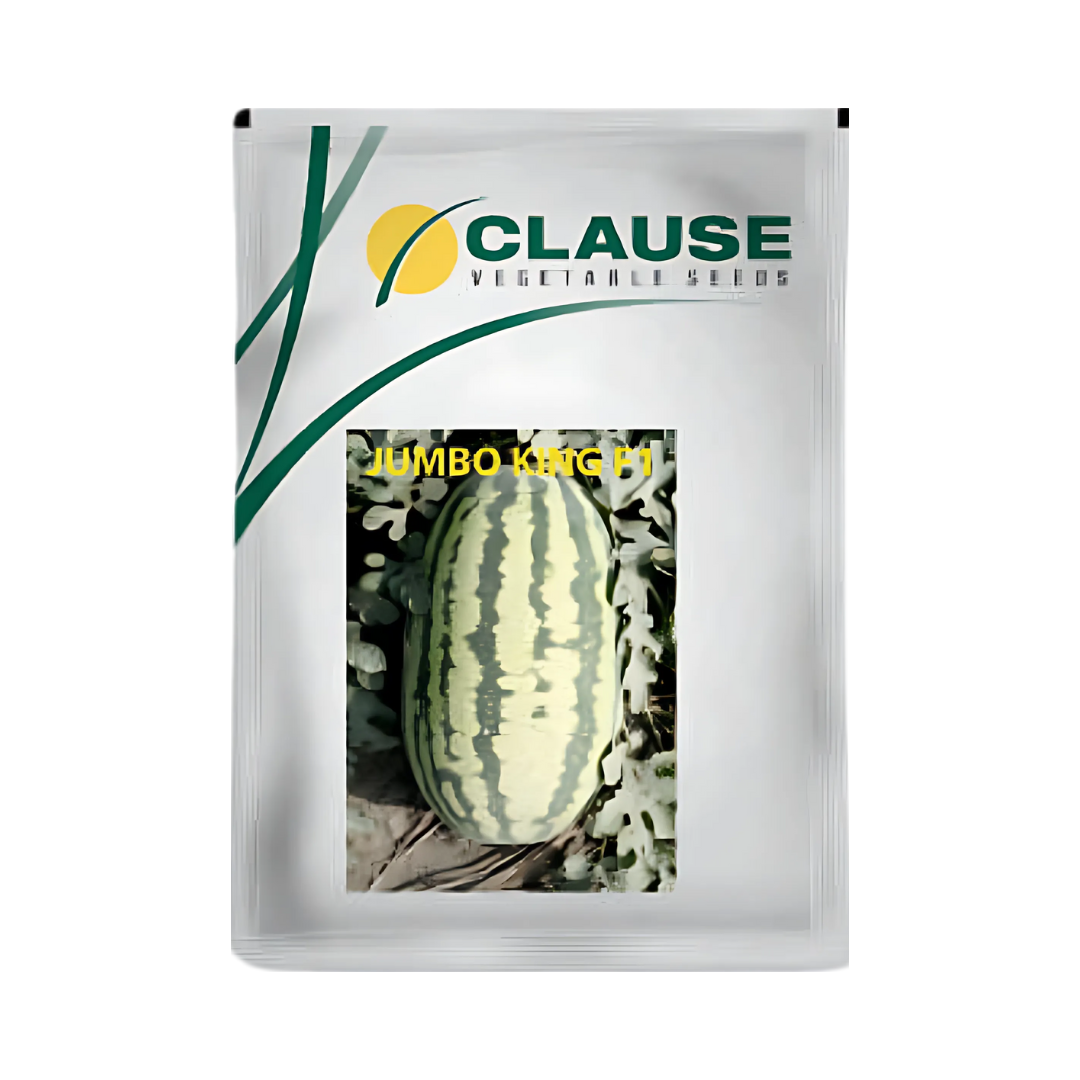 Jumbo King Watermelon Seeds - HM Clause | F1 Hybrid | Buy Online