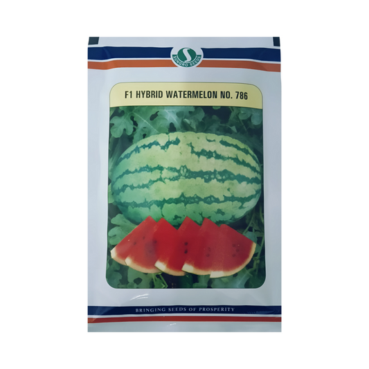 No. 786 Watermelon Seeds