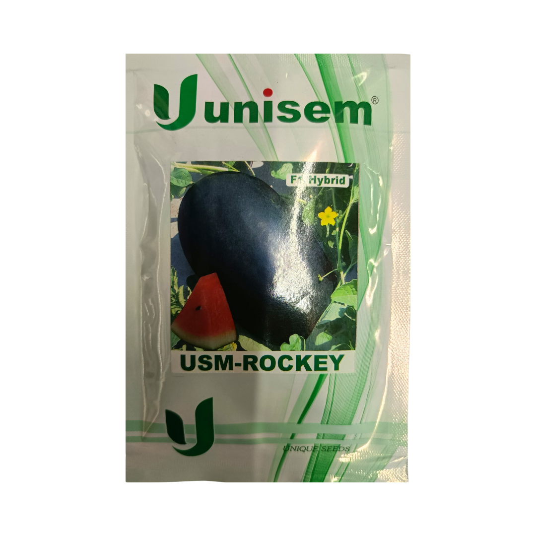 USM-Rockey Watermelon Seeds - Unisem | F1 Hybrid | Buy Online Now