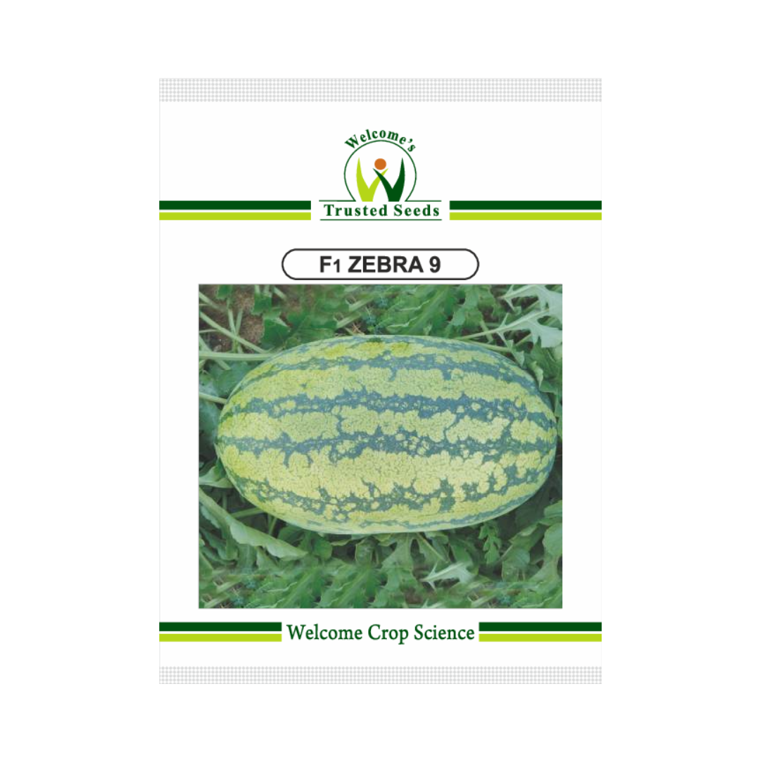 Zebra 9 Watermelon Seeds - Welcome | F1 Hybrid | Buy Online Now