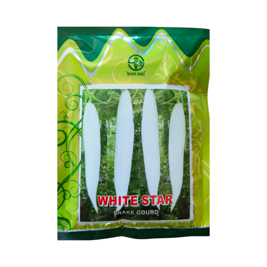 White Star Snake Gourd Seeds - Kaveri | F1 Hybrid | Buy Online Now