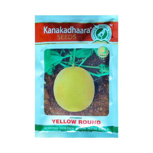 Yellow Round Cucumber Seeds - Kanakadhaara | Buy Online at Best Price