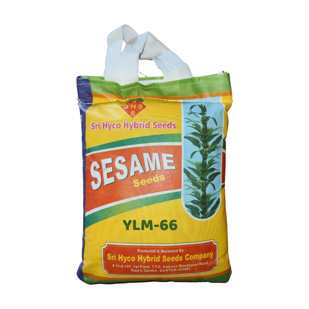 YLM-66 Gingelly (Sesamum) Seeds - Sri Hyco Hybrid Seeds | Buy Online