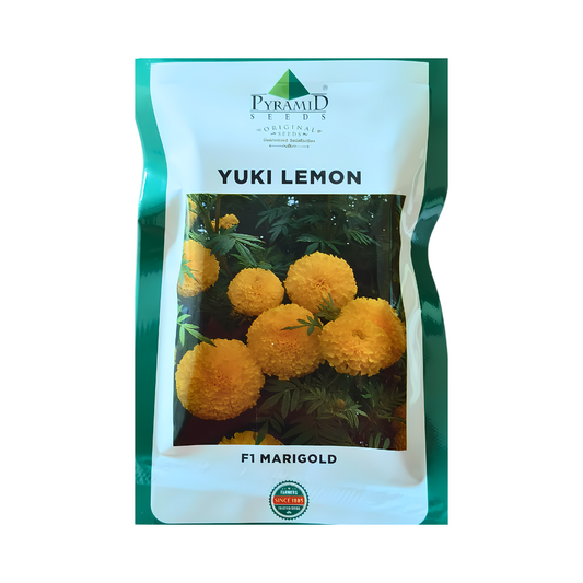 Yuki Lemon Marigold Seeds - Pyramid Seeds | Buy Online Now - DesiKheti