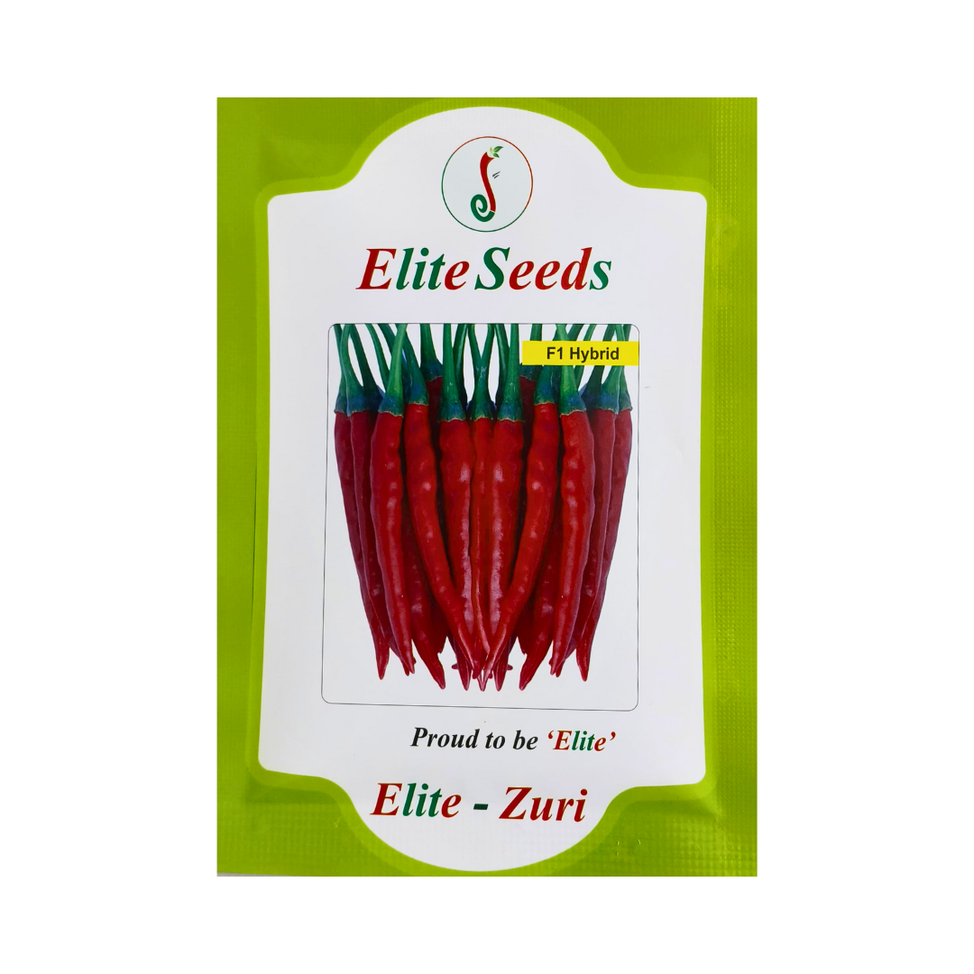 Elite - Zuri Chilli Seeds | F1 Hybrid Mirchi | Buy Online Now