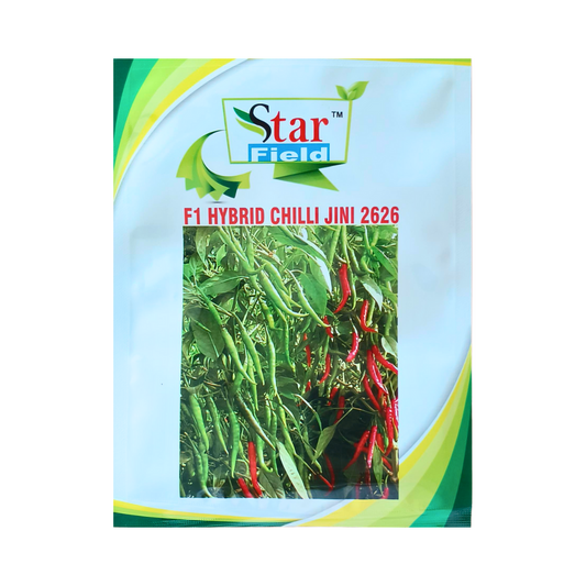 Jini 2626 Chilli Seeds