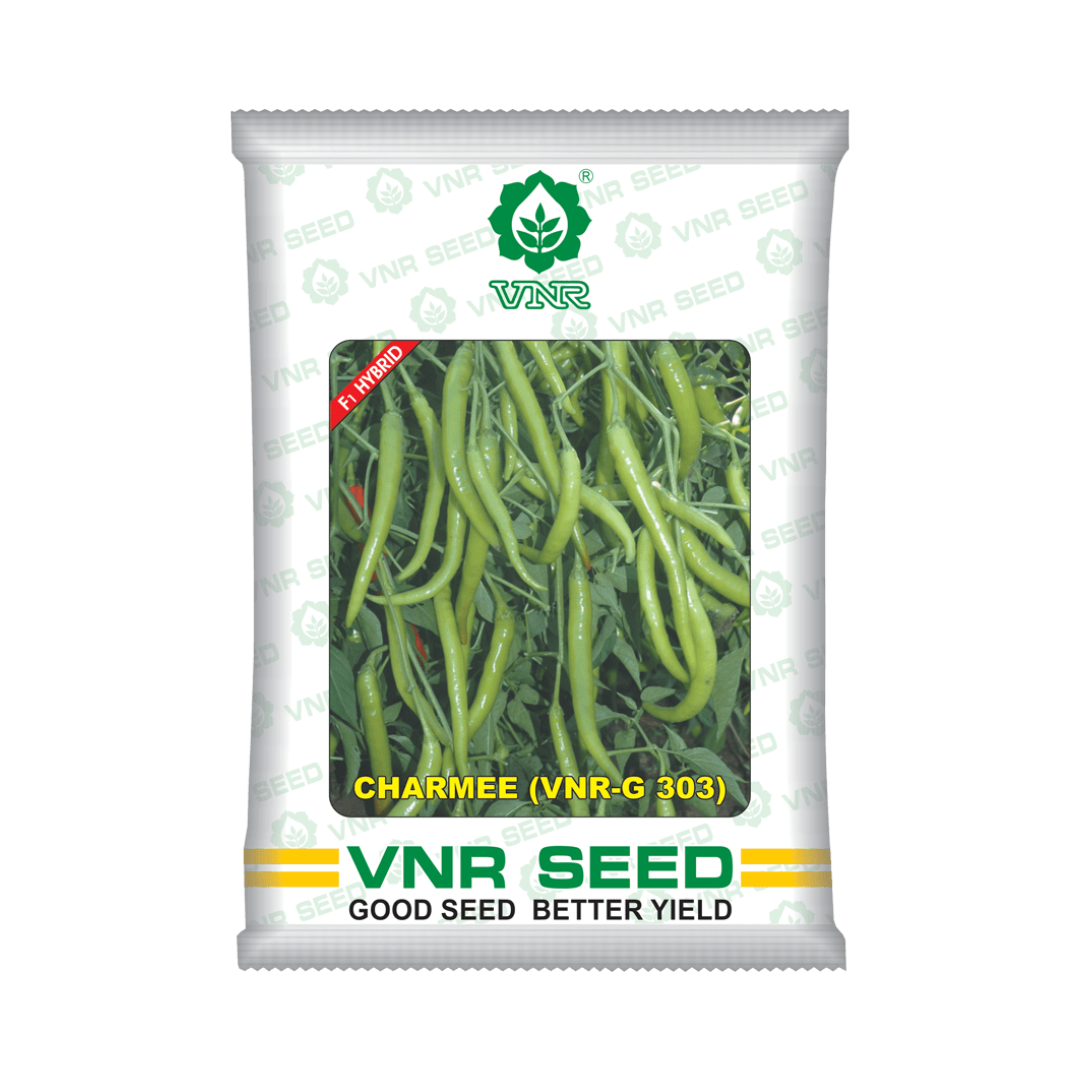 Charmee Chilli Seeds - VNR | F1 Hybrid | Buy Online at Best Price