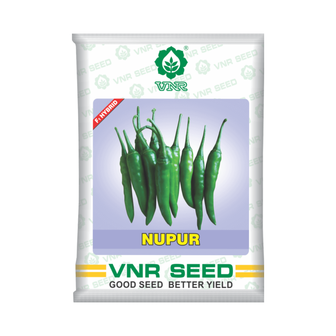 Nupur Chilli Seeds - VNR | F1 Hybrid | Buy Online at Best Price