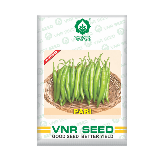 Pari Chilli Seeds - VNR | F1 Hybrid | Buy Online at Best Price