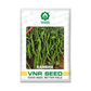 Rambha Chilli Seeds - VNR | F1 Hybrid | Buy Online at Best Price