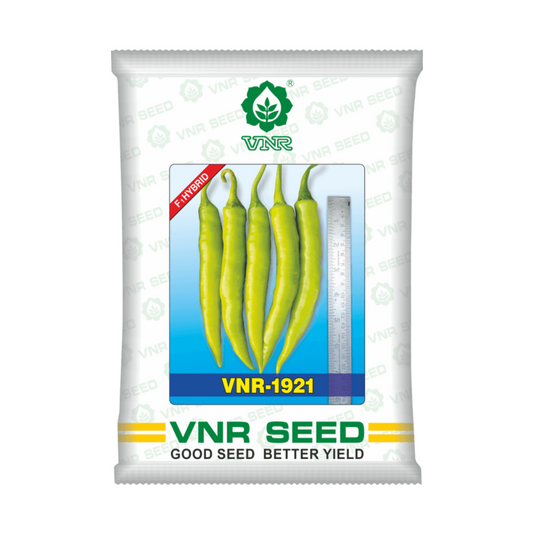 VNR 1921 Chilli  Seeds | F1 Hybrid | Buy Online at Best Price