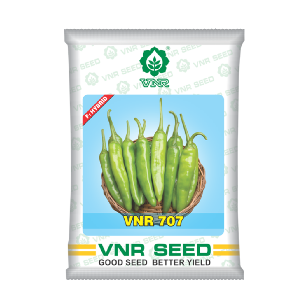 VNR 707 Chilli Seeds | F1 Hybrid | Buy Online at Best Price