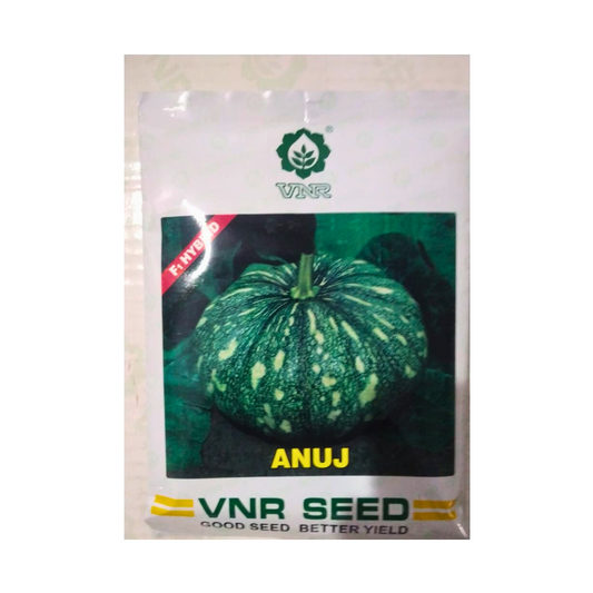 Anuj Pumpkin Seeds - VNR | F1 Hybrid | Buy Online at Best Price