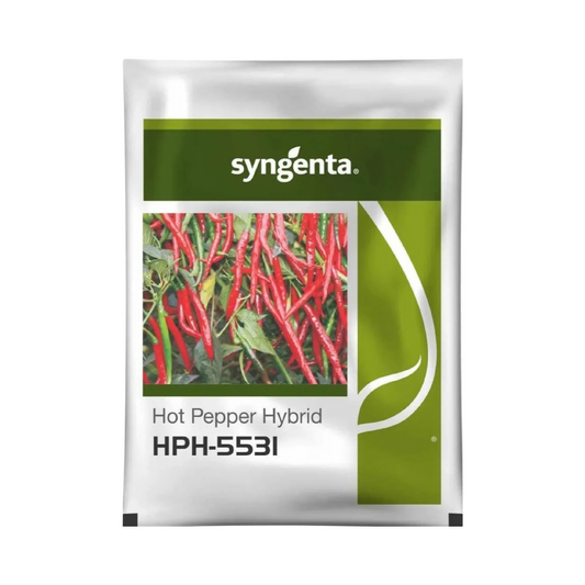 HPH 5531 Chilli Seeds - Syngenta | F1 Hybrid | Buy Online - Best Price