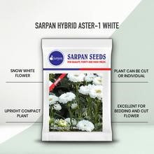 Sarpan Ast-1 Aster Seeds | F1 Hybrid | Buy Online at Best Price