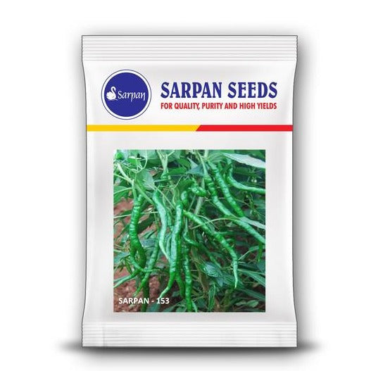 Sarpan 153 Chilli Seeds | F1 Hybrid Mirchi | Buy Online at Best Price