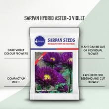 Sarpan Ast-3 Aster Seeds | F1 Hybrid | Buy Online at Best Price