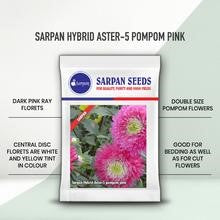 Sarpan AST - 5 Aster Pom Pom Seeds | F1 Hybrid | Buy Online at Best Price