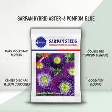 Sarpan Aster - 6 Pompom Blue Seeds | F1 Hybrid | Buy Online at Best Price  Edit alt text