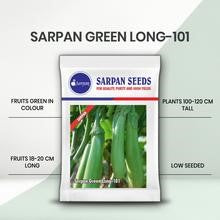 Sarpan Green Long - 101 Brinjal Seeds | F1 Hybrid Seeds | Buy Online