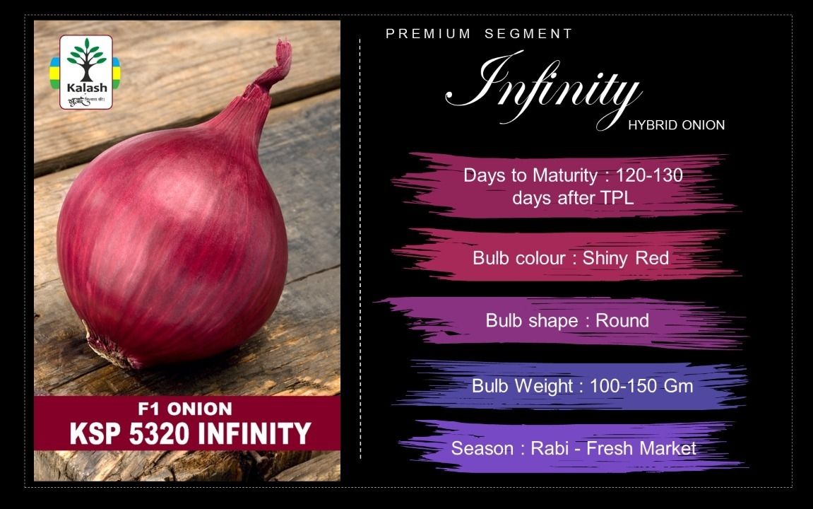 KSP 5320 " Infinity" Onion Seeds - Kalash | F1 Hybrid | Buy Online at Best Price