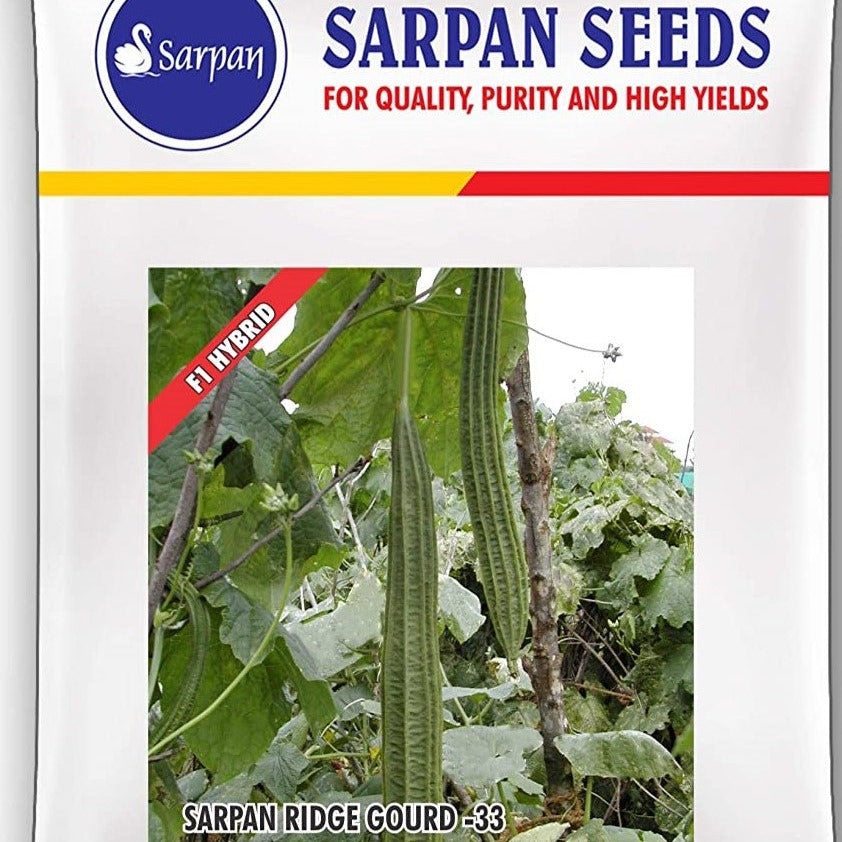 Sarpan - 33 Ridge Gourd Seeds | F1 Hybrid | Buy Online at Best Price