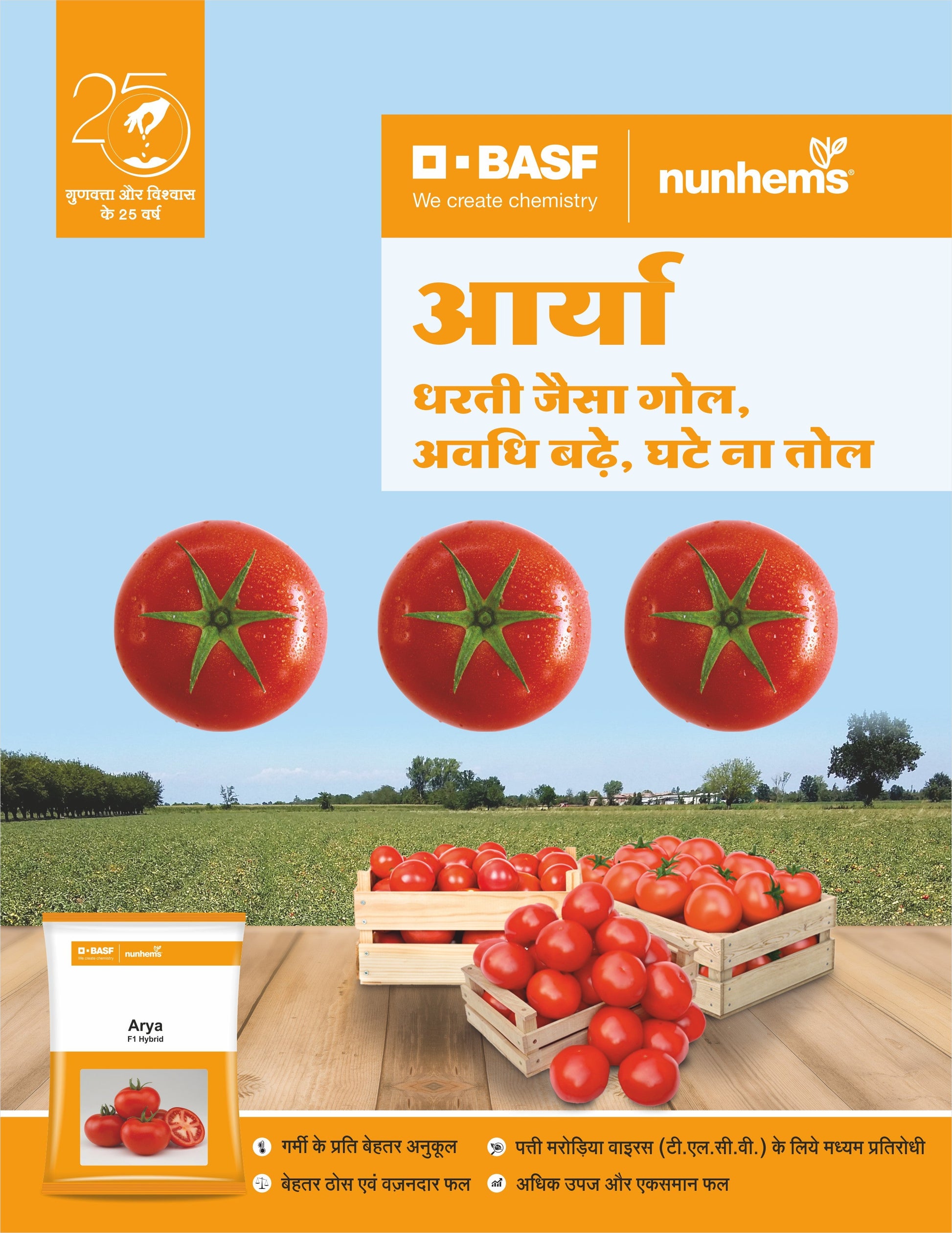 Arya Tomato Seeds - Nunhems | F1 Hybrid | Buy Online at Best Price