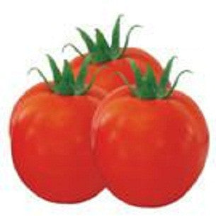 Abhilash Tomato Seeds - Seminis | F1 Hybrid | Buy Online at Best Price