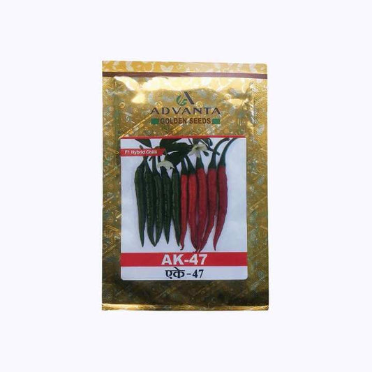 AK - 47 Chilli Seeds - Advanta | F1 Hybrid | Buy Online at Best Price