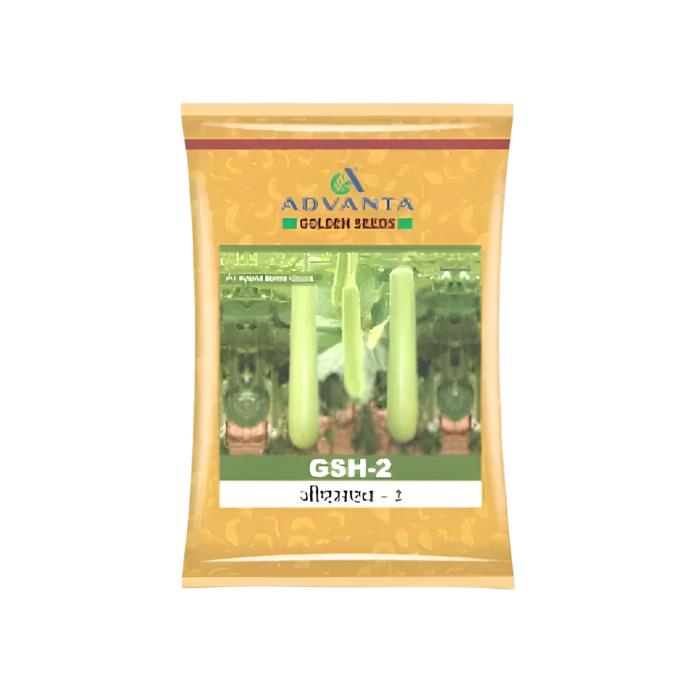 GSH-2 Bottle Gourd Seeds - Advanta | F1 Hybrid | Buy Online at Best Price