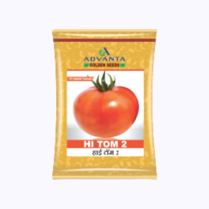 HI TOM 2 Tomato Seeds - Advanta | F1 Hybrid | Buy Online at Best Price