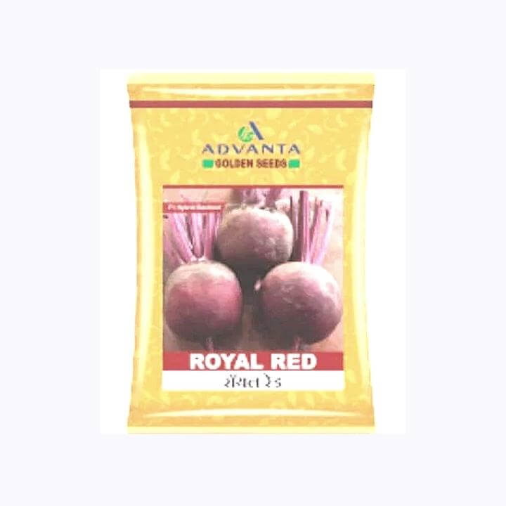 Royal Red Beetroot Seeds - Advanta | F1 Hybrid | Buy Online Now